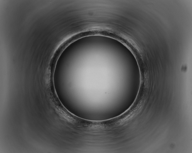 X0000100751021200806191138