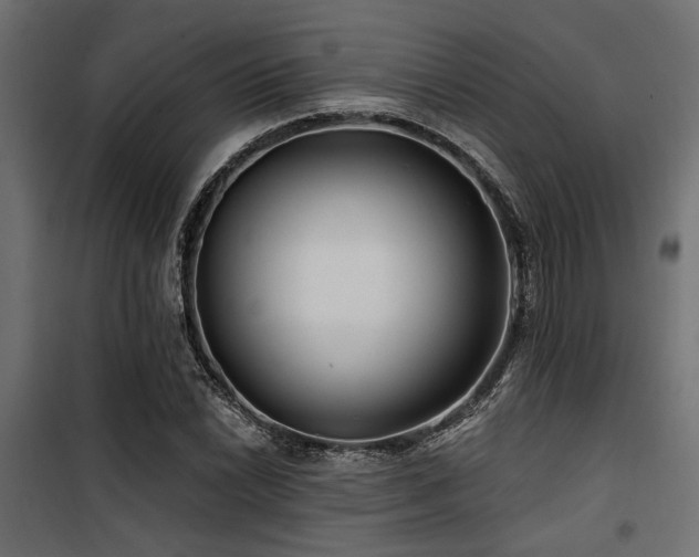 X0000100751022200806191138