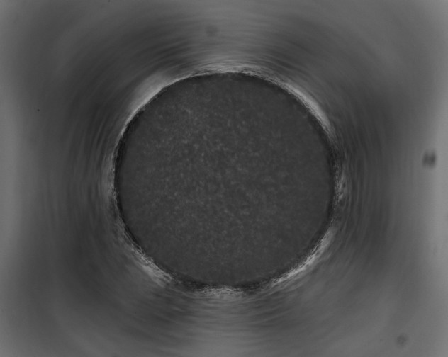 X0000100751023200806191138