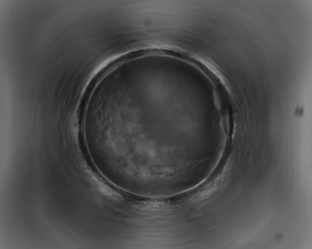 X0000100751024200806191138