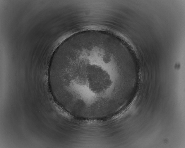 X0000100751025200806191138