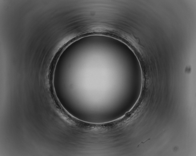 X0000100751026200806191138