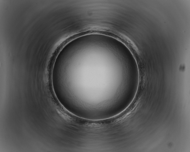 X0000100751027200806191138