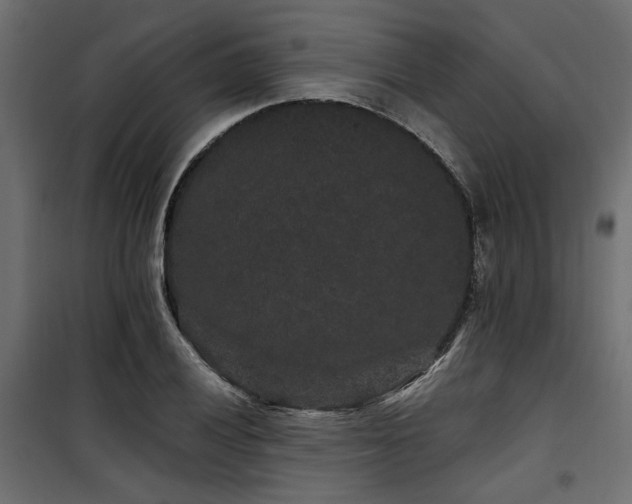 X0000100751028200806191138