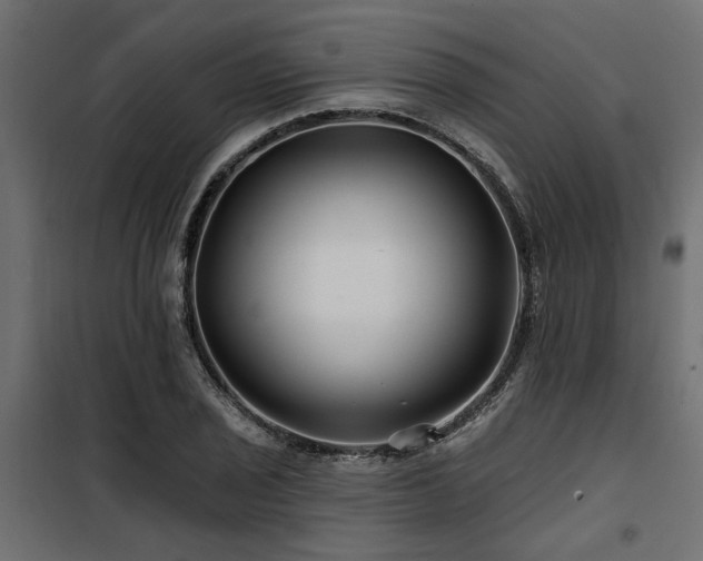 X0000100751029200806191138