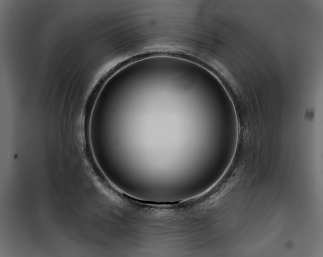 X0000100751030200806191138