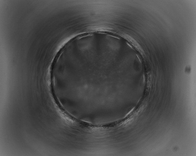 X0000100751031200806191138