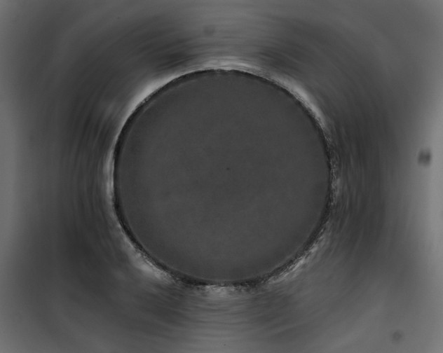 X0000100751032200806191138