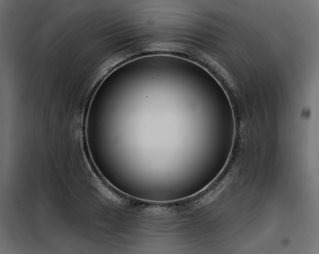 X0000100751033200806191138