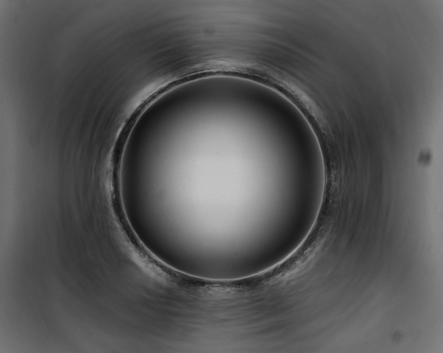 X0000100751034200806191138