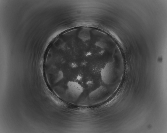 X0000100751035200806191138