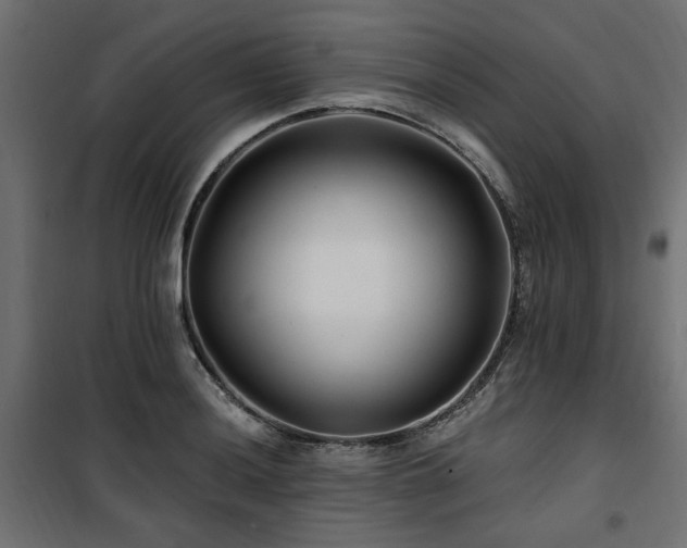 X0000100751036200806191138