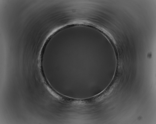 X0000100751037200806191138