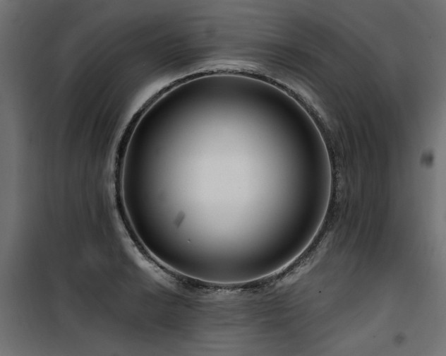 X0000100751038200806191139