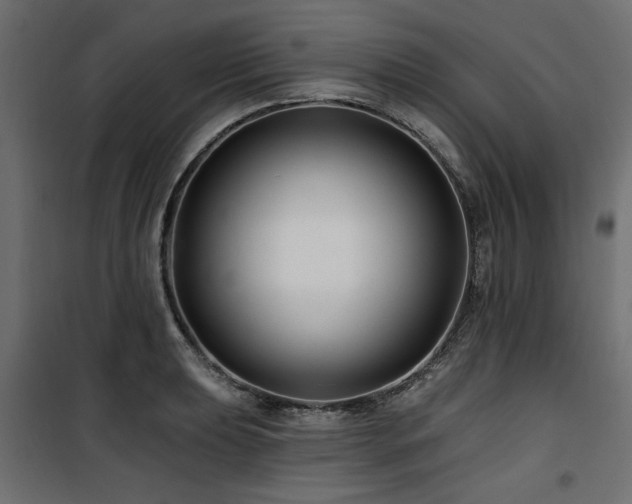 X0000100751039200806191139