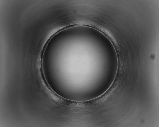 X0000100751040200806191139