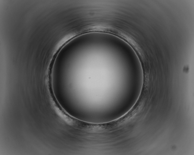 X0000100751042200806191139