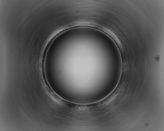 X0000100751043200806191139