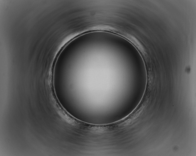 X0000100751044200806191139