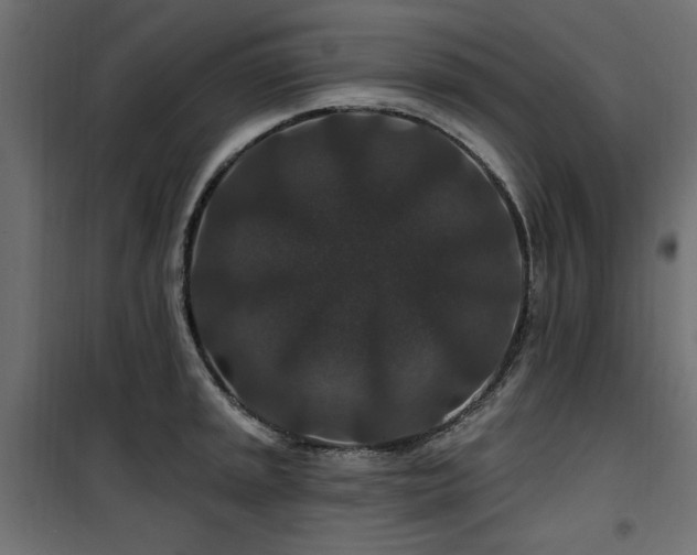 X0000100751045200806191139