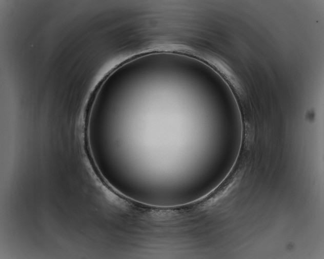 X0000100751046200806191139