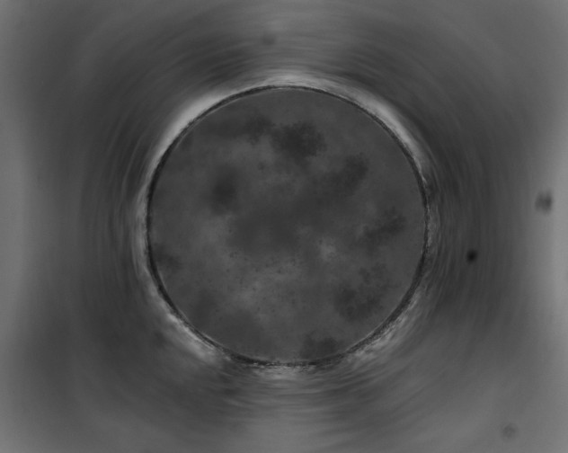 X0000100751048200806191139