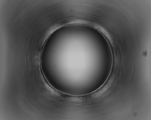 X0000100751049200806191139