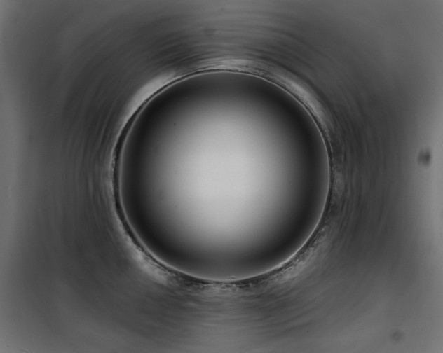 X0000100751050200806191139