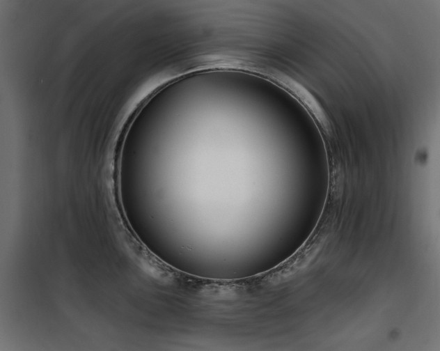 X0000100751051200806191139