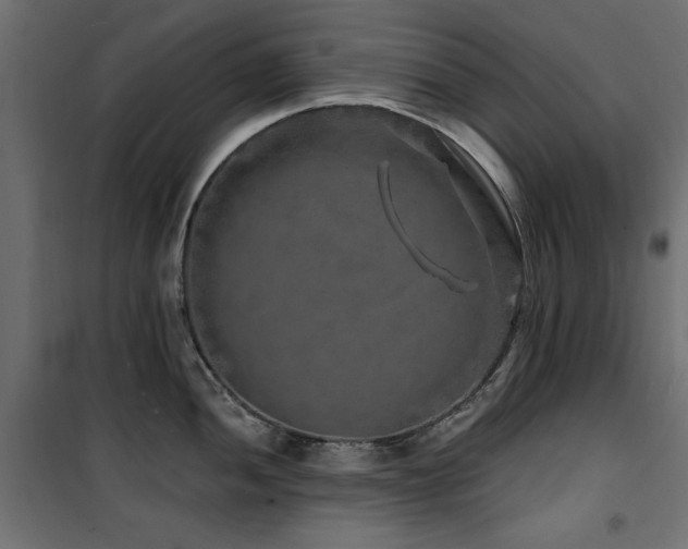 X0000100751052200806191139