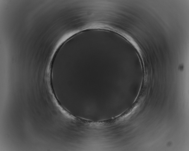 X0000100751053200806191139