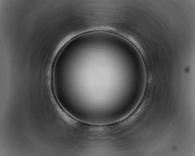 X0000100751054200806191139