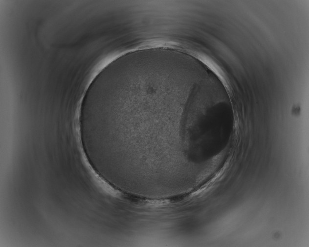 X0000100751055200806191139