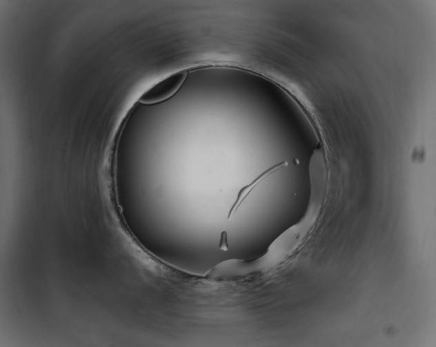 X0000100751056200806191139