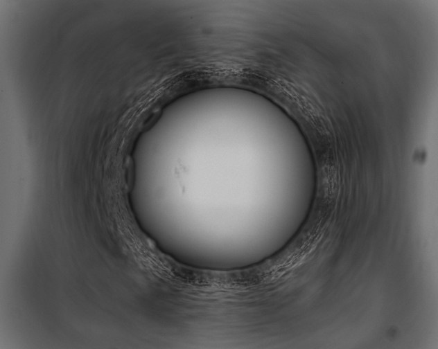 X0000100751057200806191138