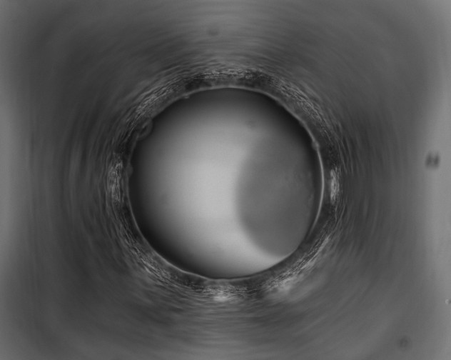 X0000100751059200806191138