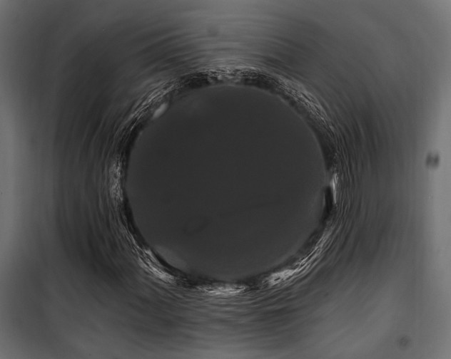 X0000100751060200806191138