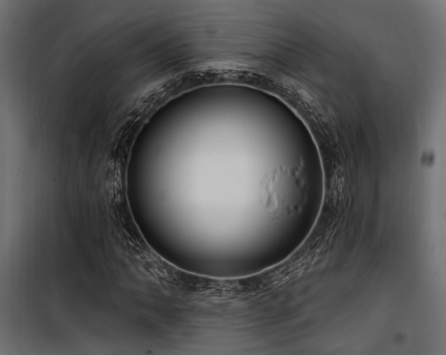 X0000100751062200806191138