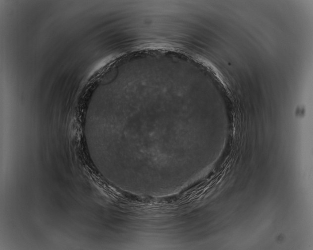 X0000100751064200806191138