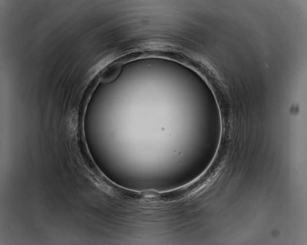 X0000100751065200806191138