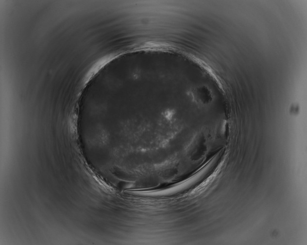 X0000100751066200806191138