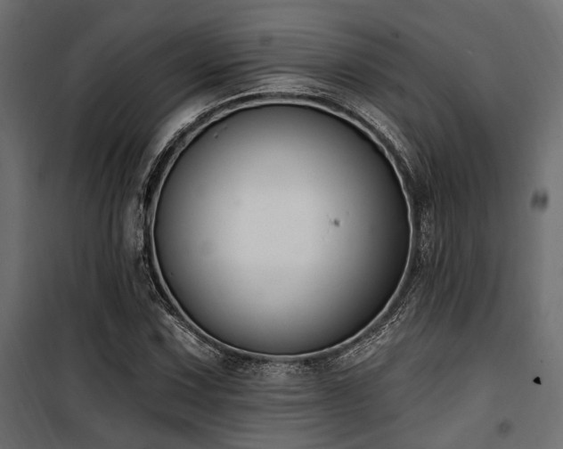 X0000100751067200806191138