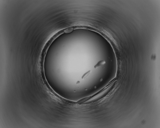 X0000100751068200806191138