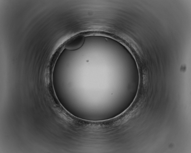 X0000100751069200806191138