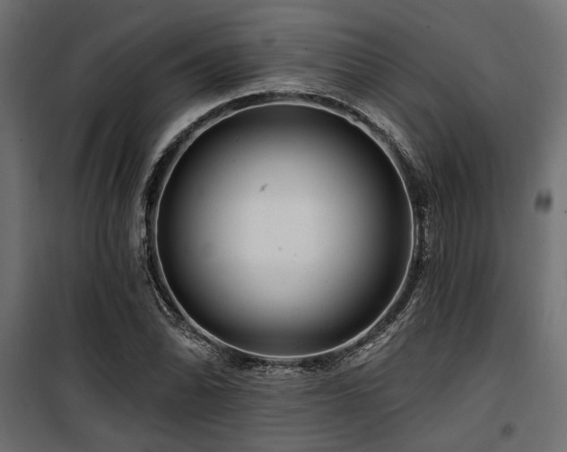 X0000100751070200806191138