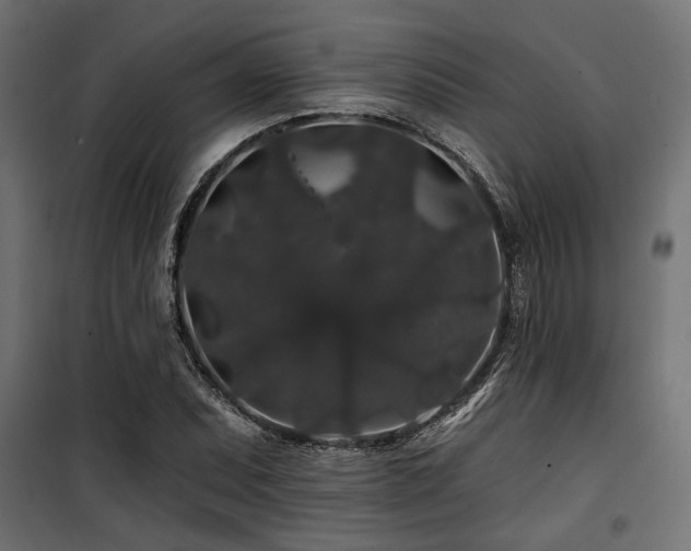 X0000100751071200806191138