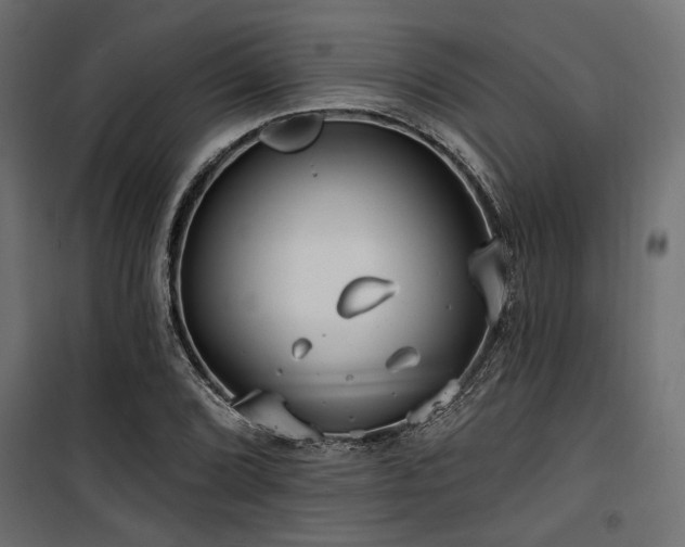 X0000100751072200806191138