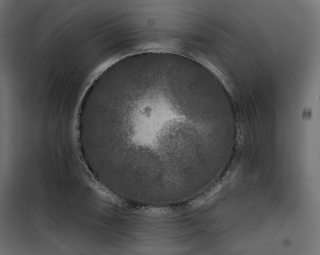 X0000100751074200806191138