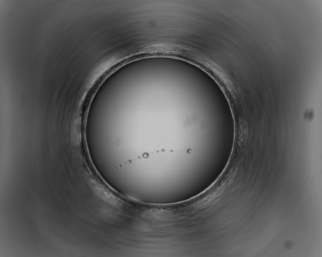 X0000100751075200806191138