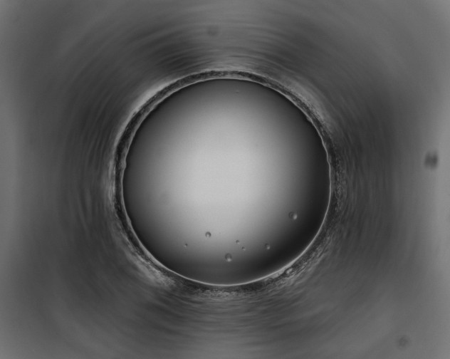 X0000100751076200806191138